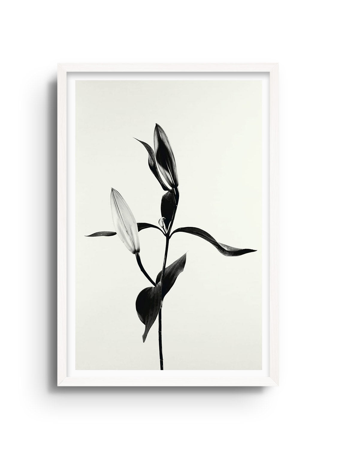 "Balanced Form #1" by Will Arden in a white frame, fine art print featuring abstract geometric shapes and neutral tones. |frame=White Frame|