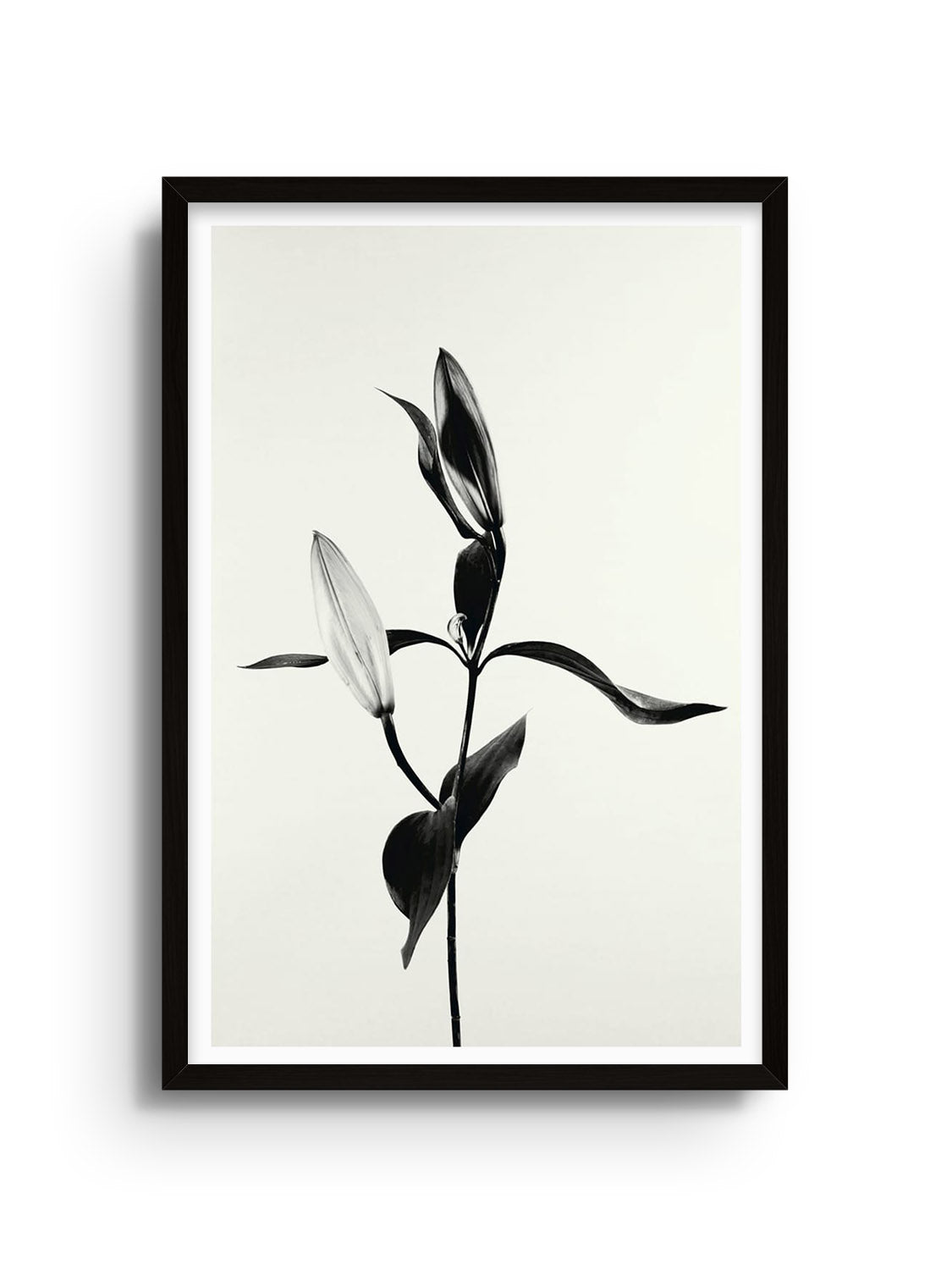 "Balanced Form #1" by Will Arden, fine art print in black frame, modern geometric design in black and white. |frame=Black Frame|