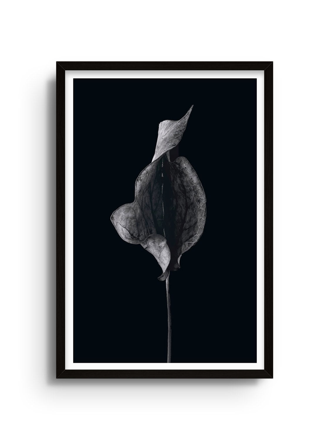 "Found Form" fine art print by Will Arden in black frame. |frame=Black Frame|
