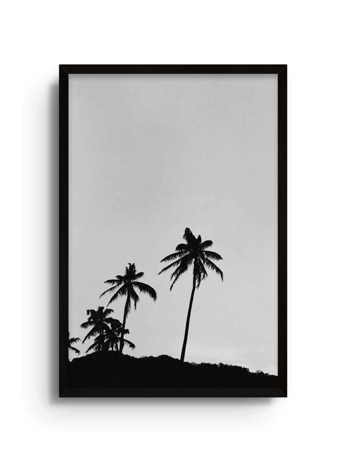 Fine art print "Los Palmas" by Adam Sherrett in black frame. |frame=Black Frame|