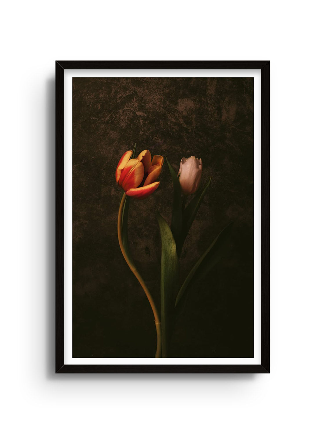 Fine art print "The Dance" by Will Arden in black frame, showcasing dynamic movement and vivid colors. |frame=Black Frame|