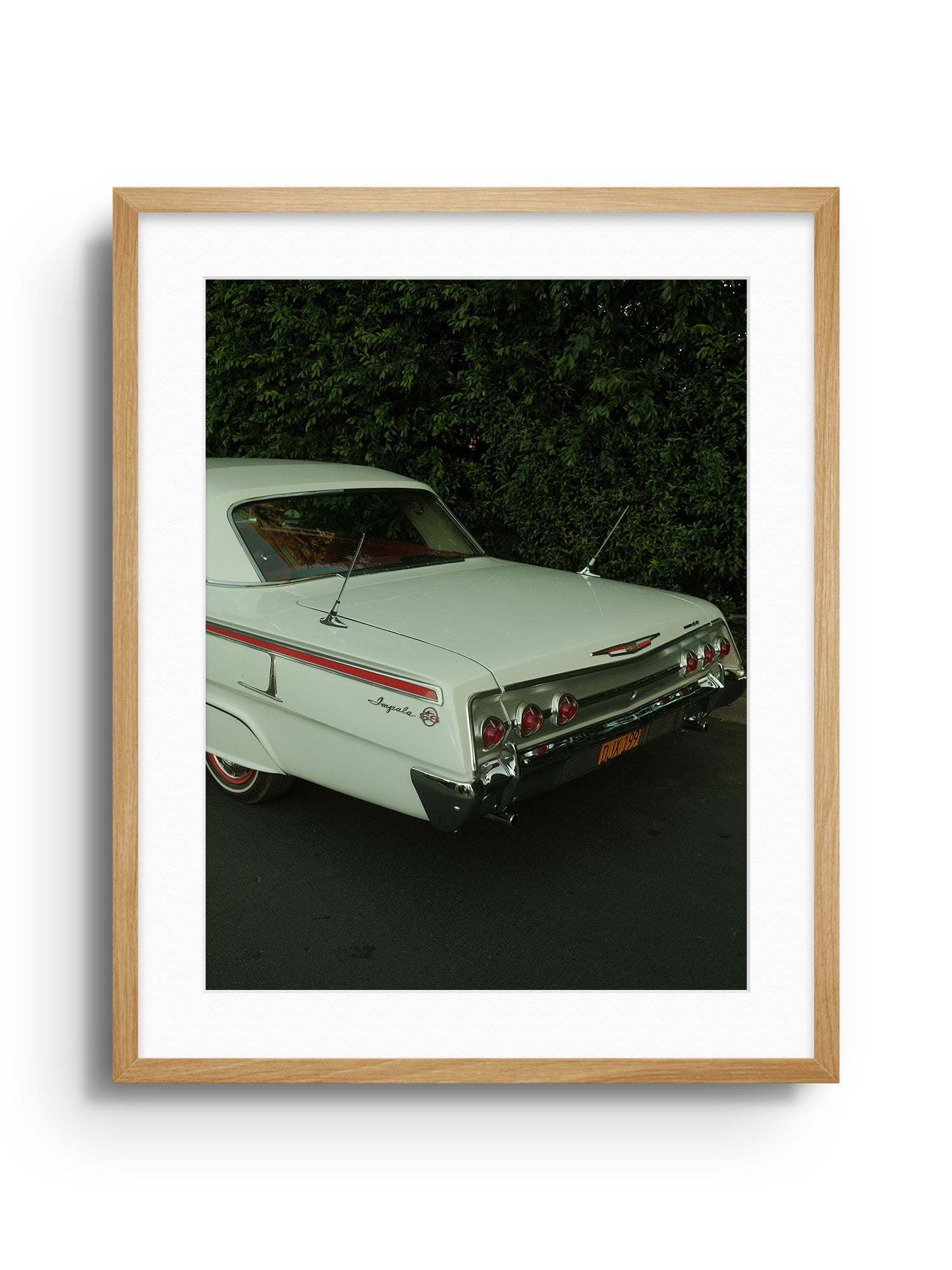 Impala Mama - Gelstang - East Side Studio - Art Prints