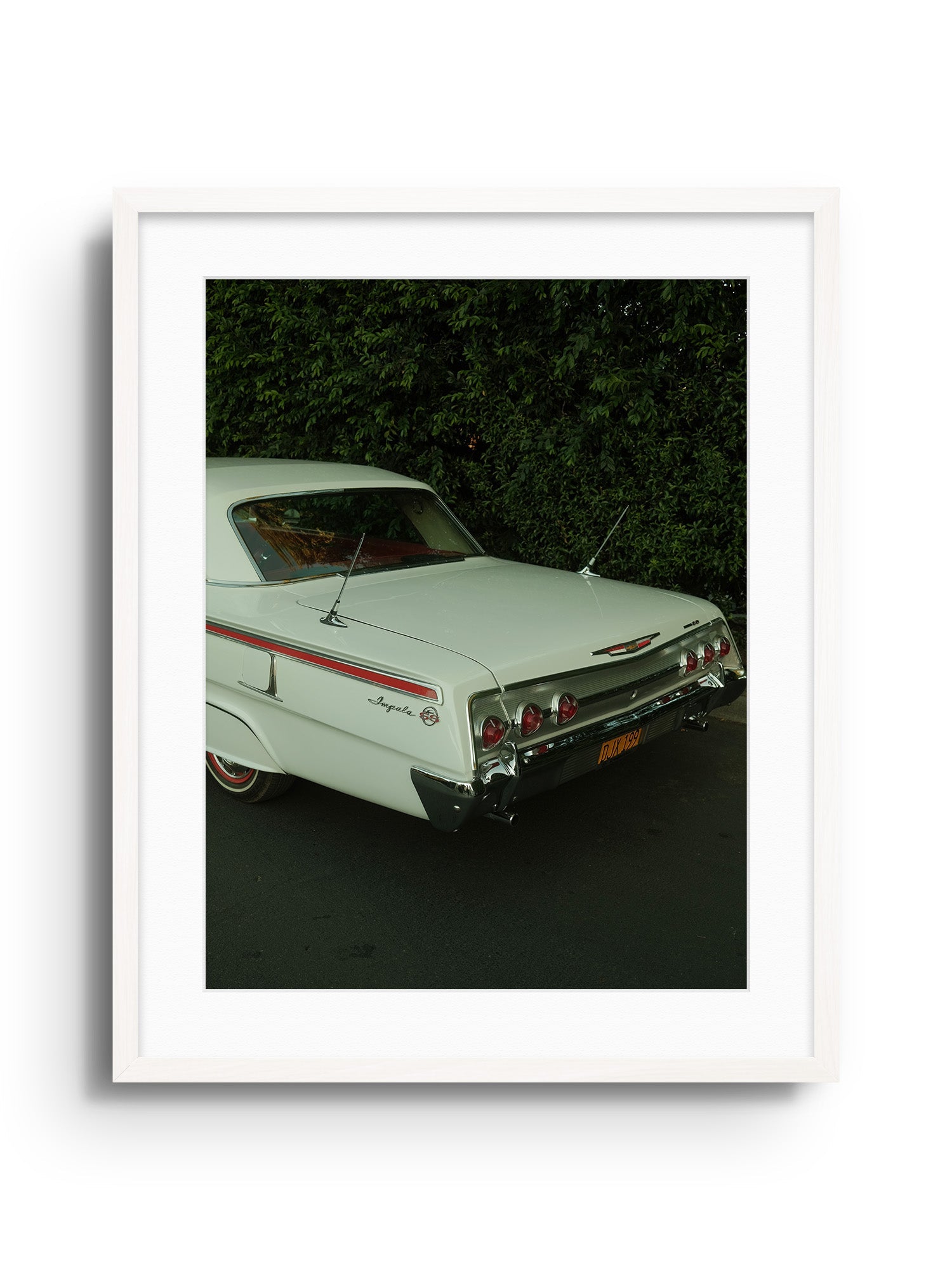 Impala Mama - Gelstang - East Side Studio - Art Prints