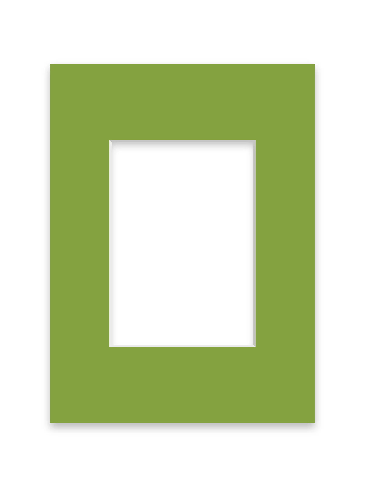 Botanical Green picture frame mount board