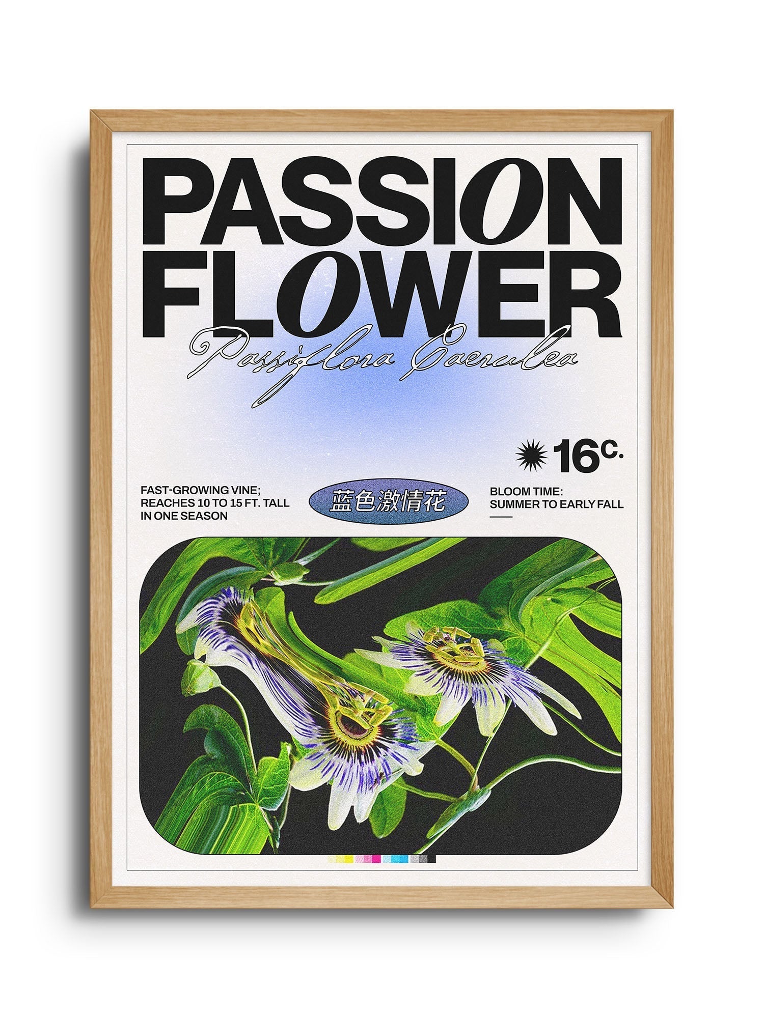 Passion Flower - Epi.to.me - East Side Studio - Art Prints