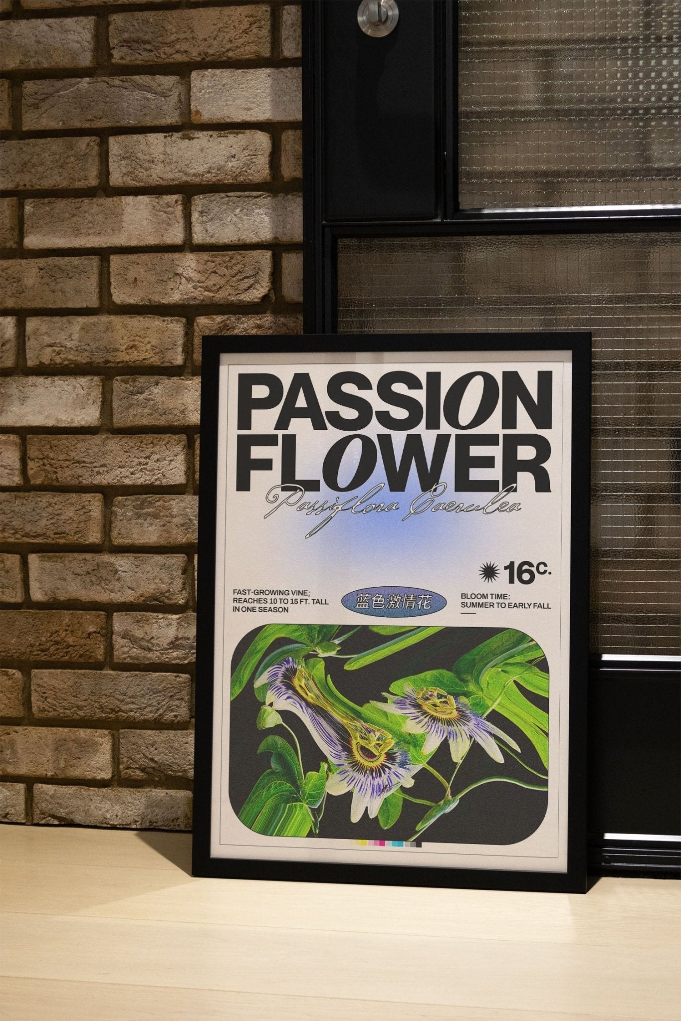 Passion Flower - Epi.to.me - East Side Studio - Art Prints