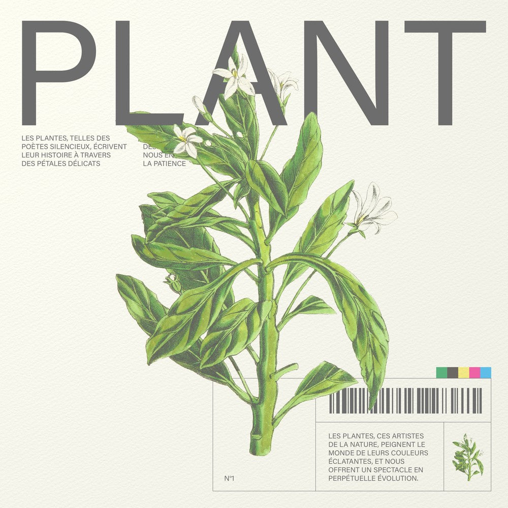 Plant - Matéo Mace