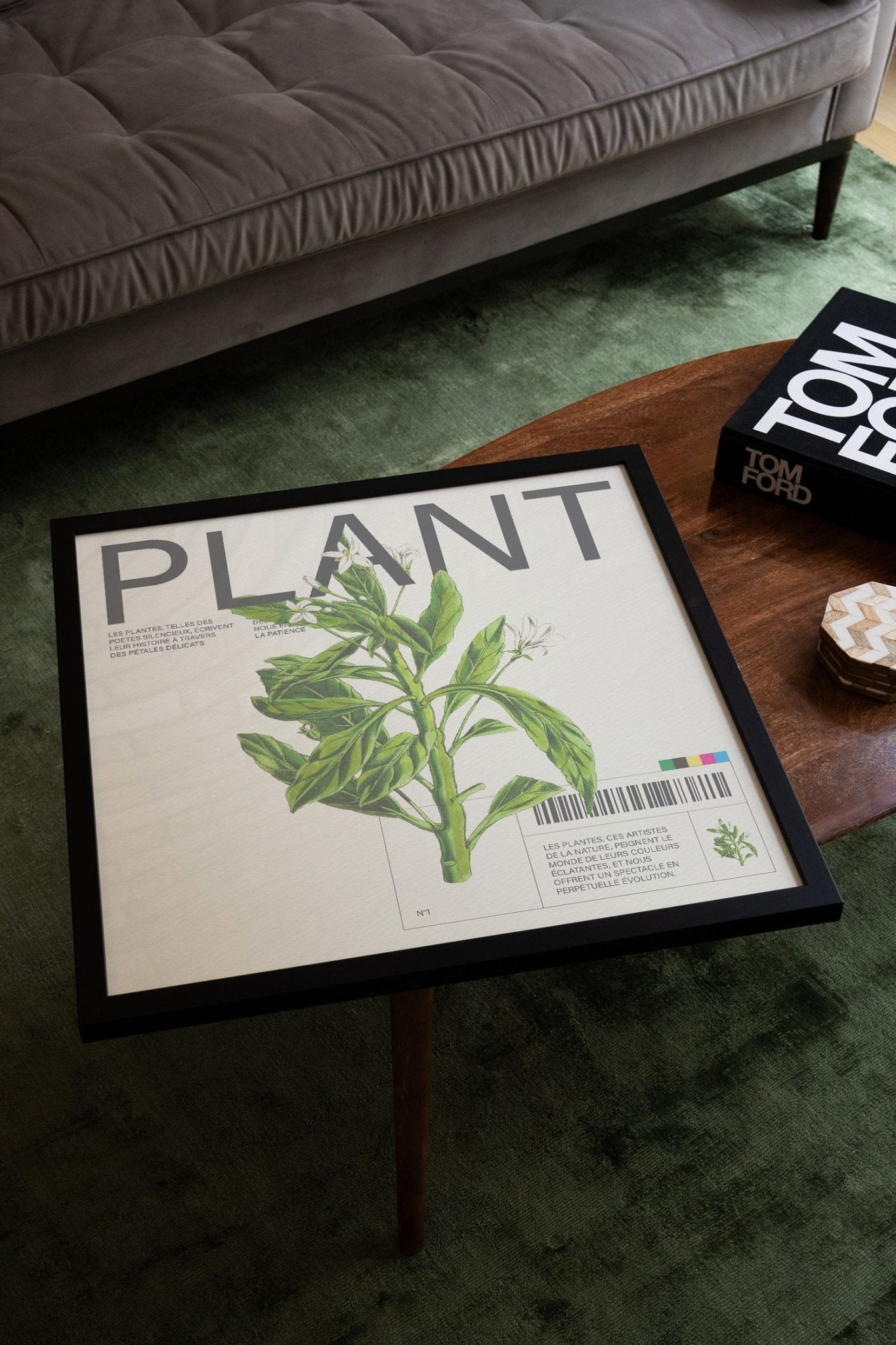 Plant - Matéo Mace - East Side Studio - Art Prints