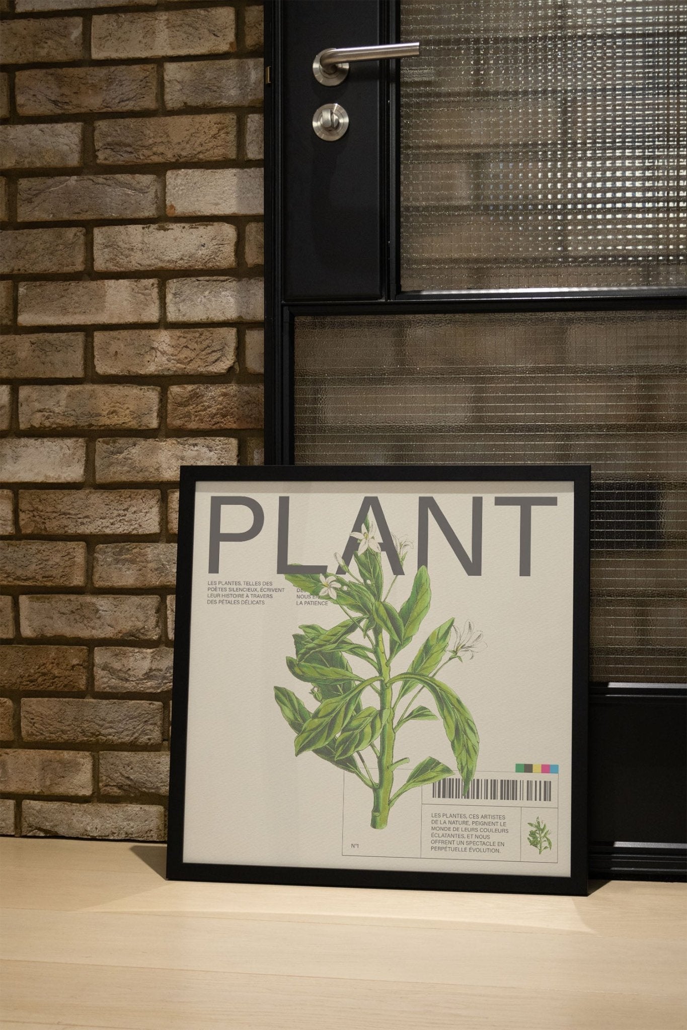 Plant - Matéo Mace - East Side Studio - Art Prints