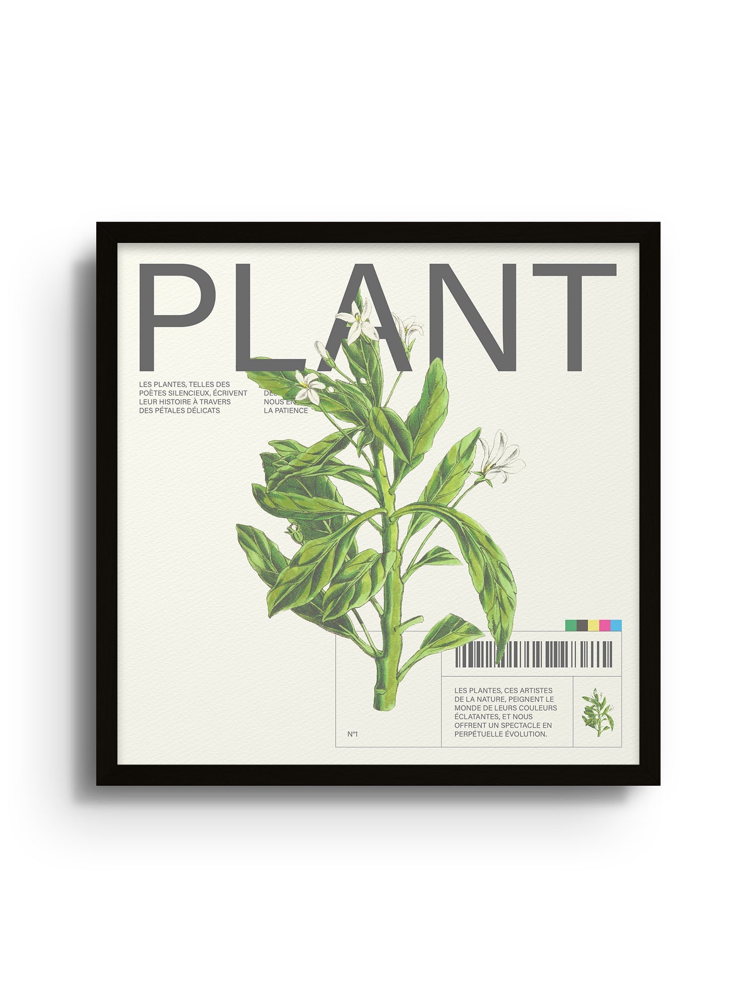 Plant - Matéo Mace - East Side Studio - Art Prints