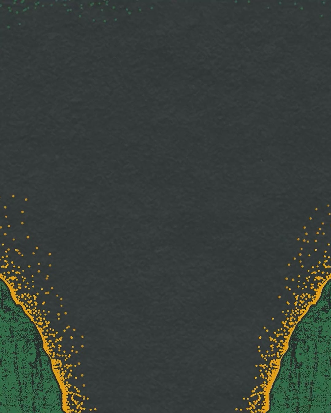 Artwork detail scan video