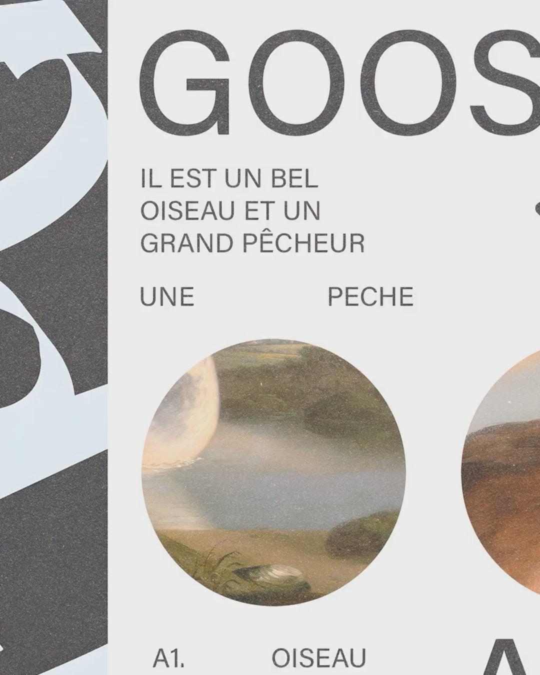 Artwork detail scan video