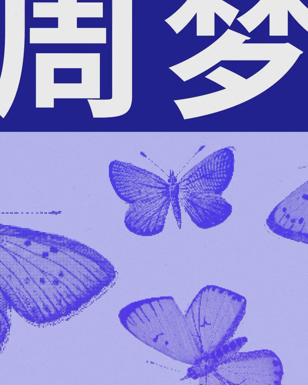 Artwork detail scan video