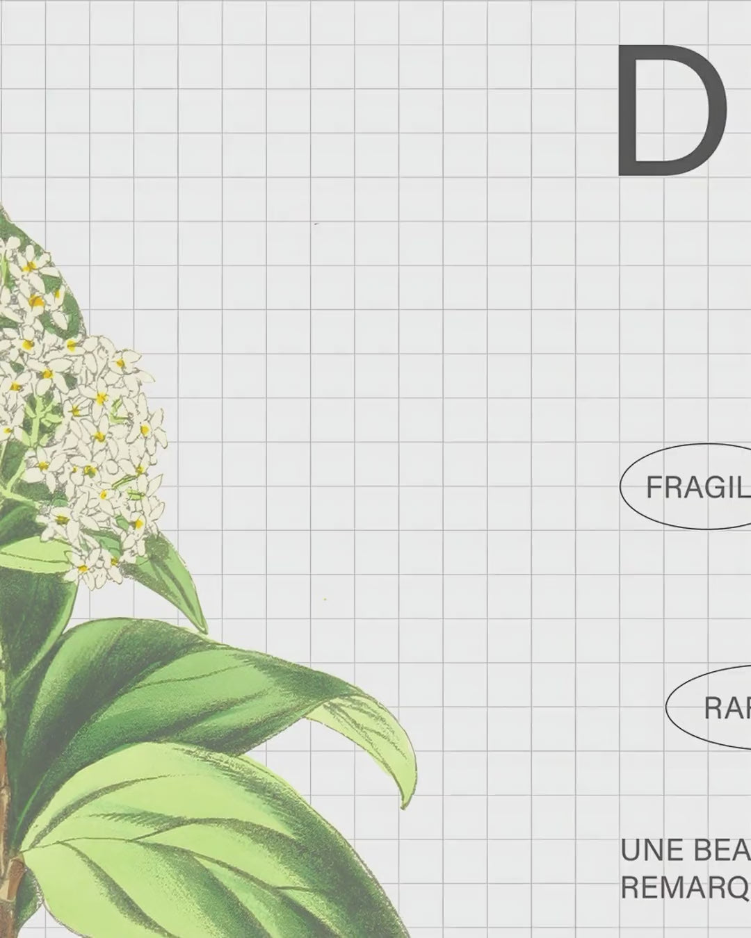 Artwork detail scan video