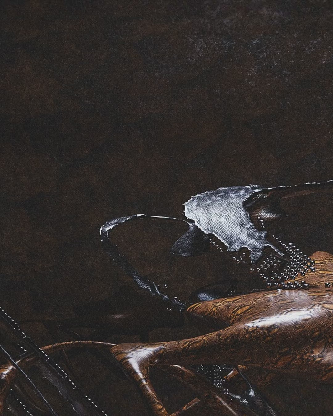 Artwork detail scan video
