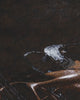 Artwork detail scan video