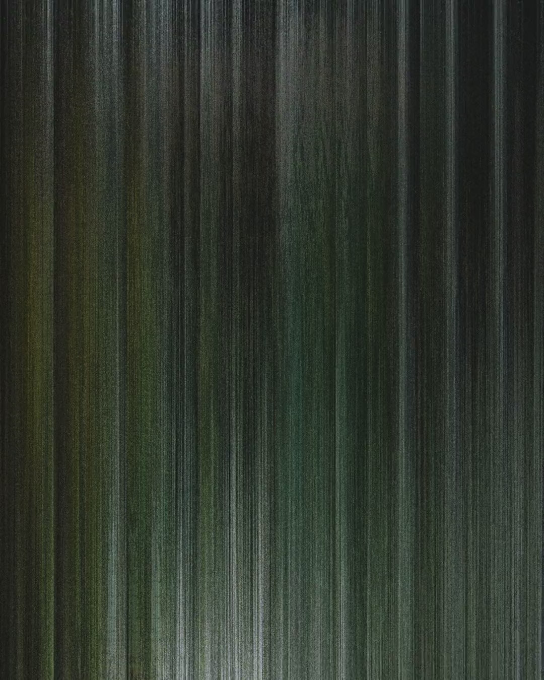 Artwork detail scan video