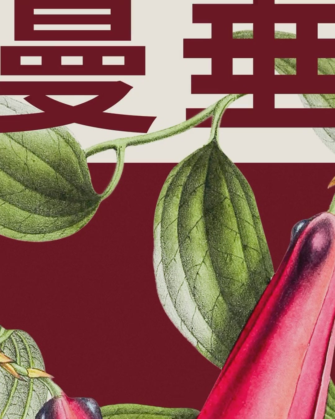 Artwork detail scan video