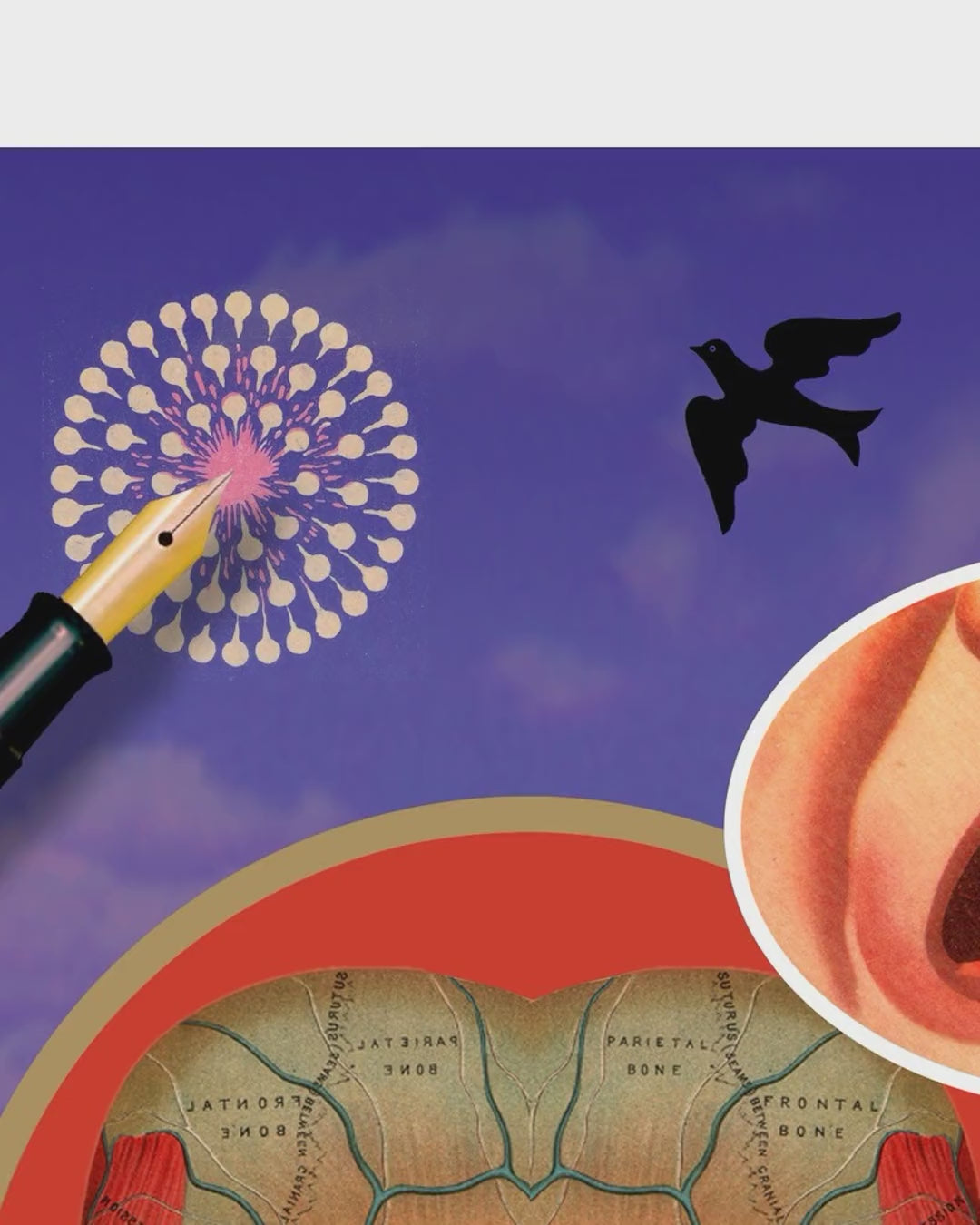 Artwork detail scan video