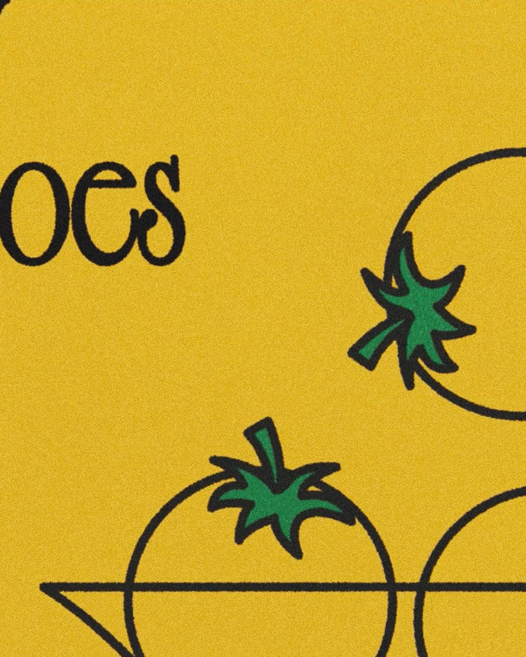 Artwork detail scan video