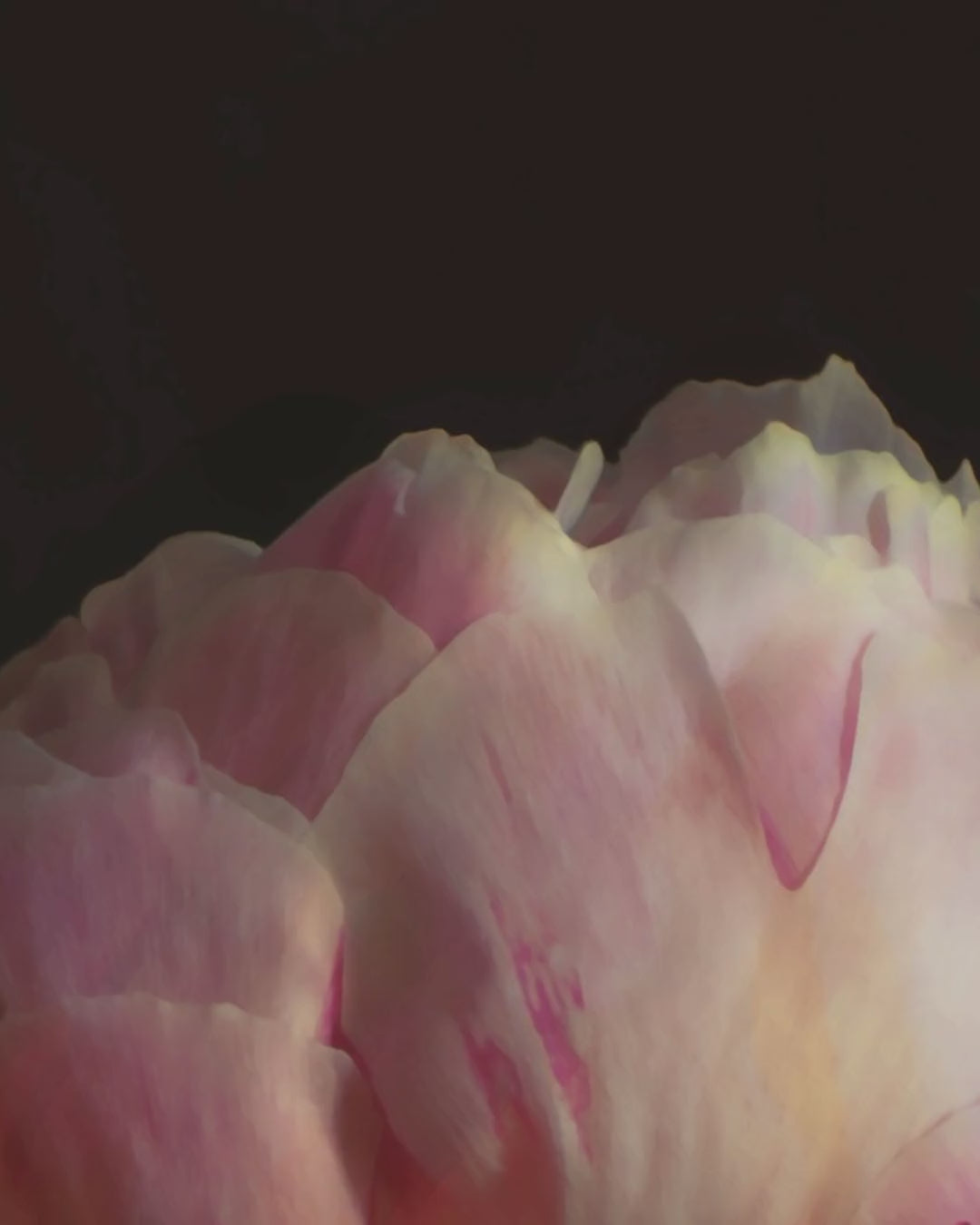 Artwork detail scan video