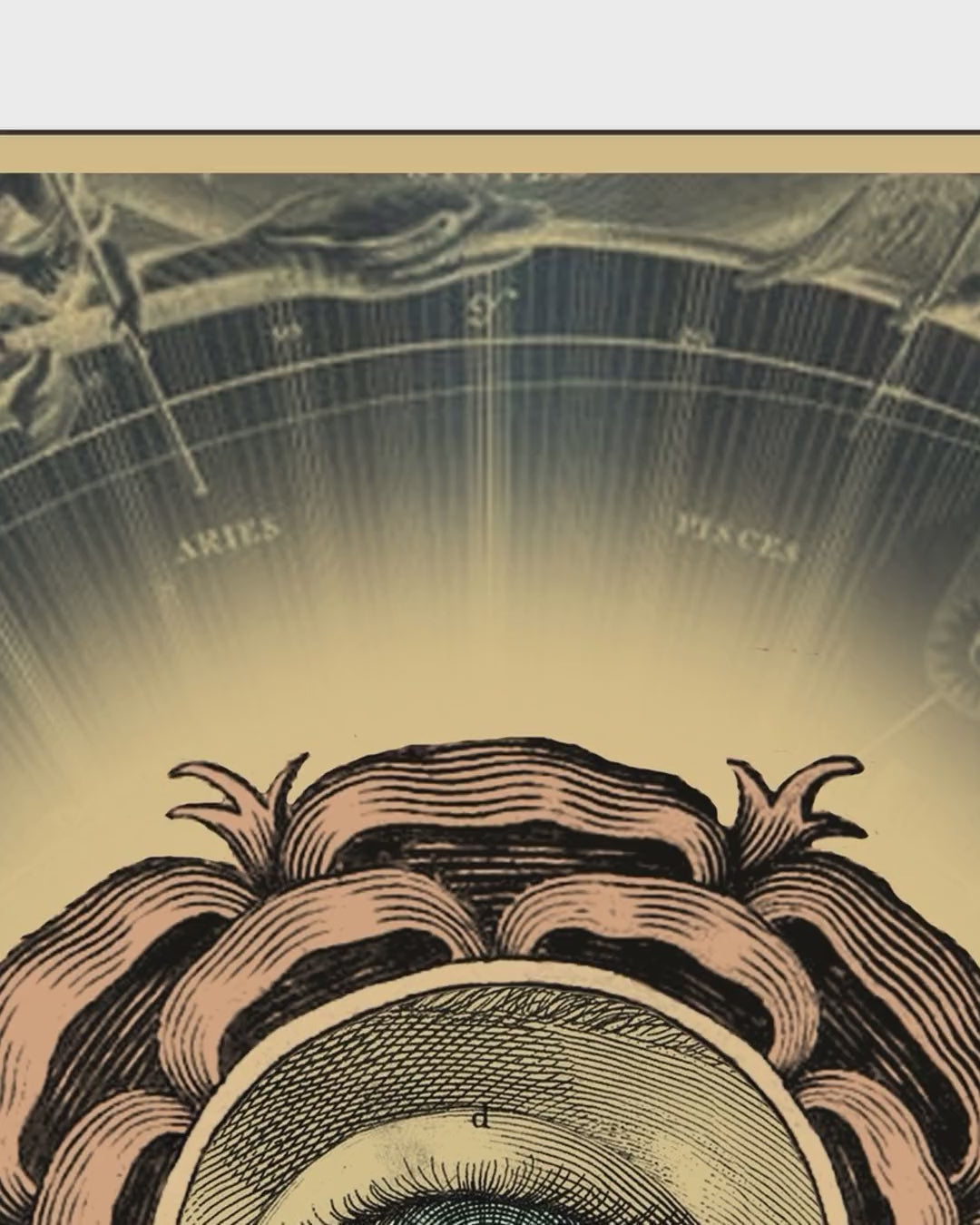 Artwork detail scan video