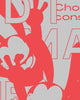 Artwork detail scan video