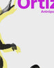 Artwork detail scan video