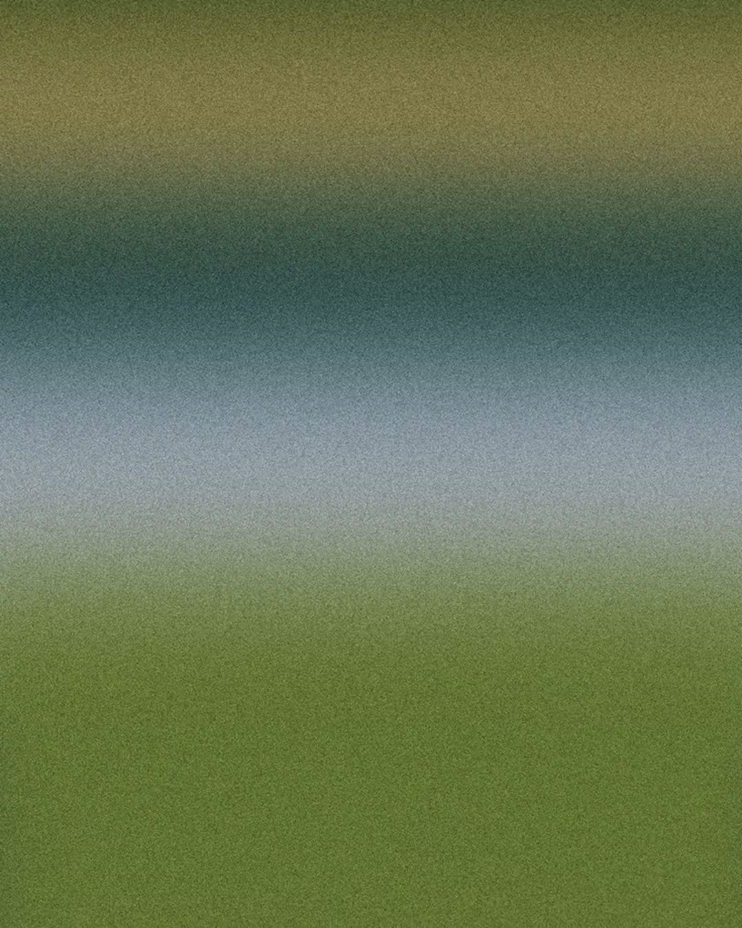 Artwork detail scan video