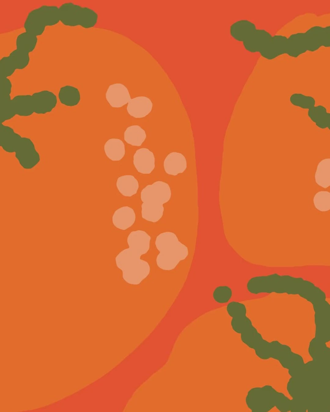 Artwork detail scan video