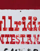 Artwork detail scan video