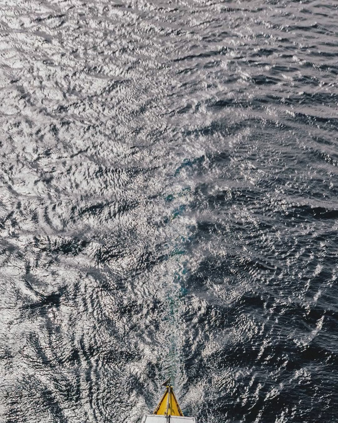 Artwork detail scan video