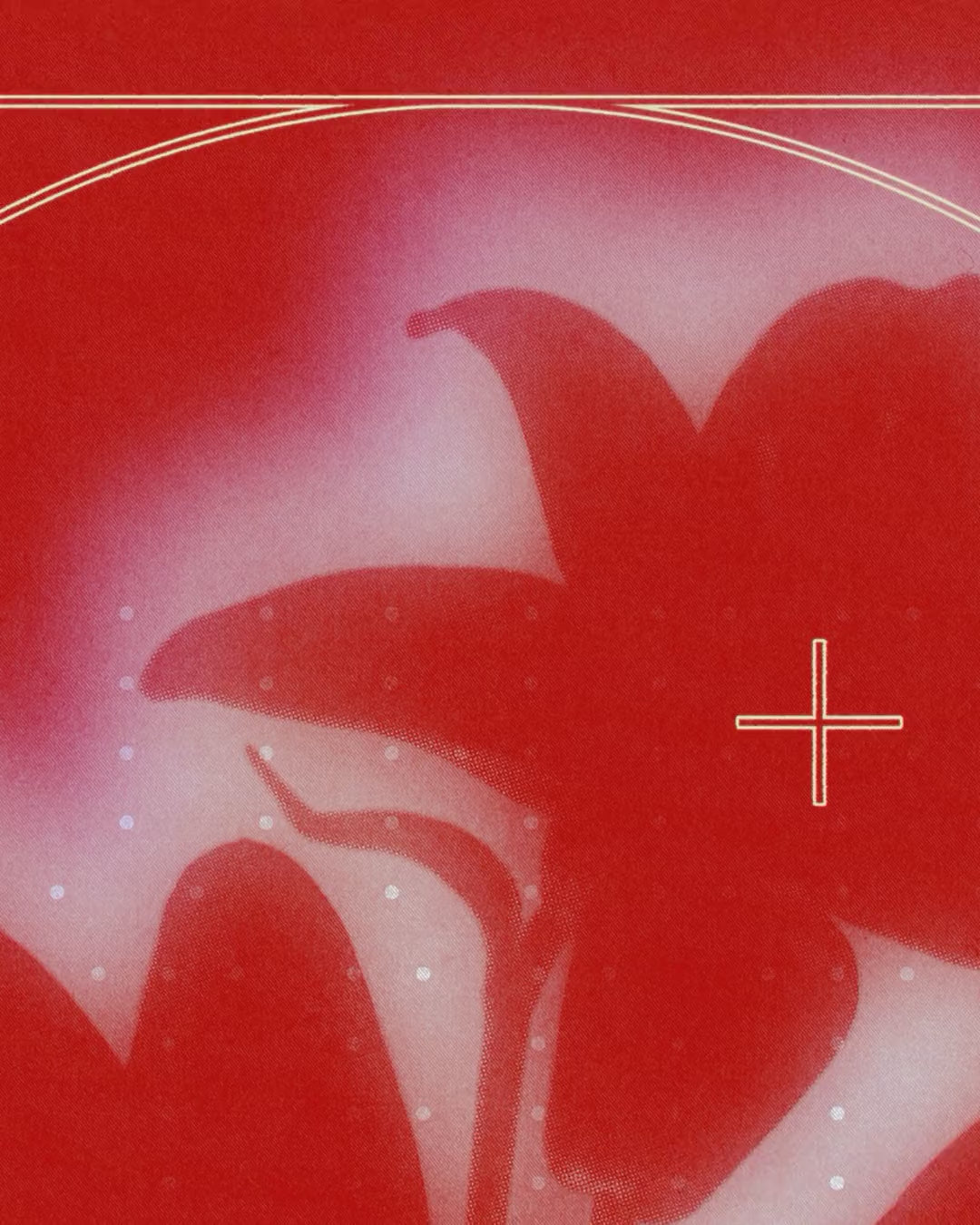 Artwork detail scan video