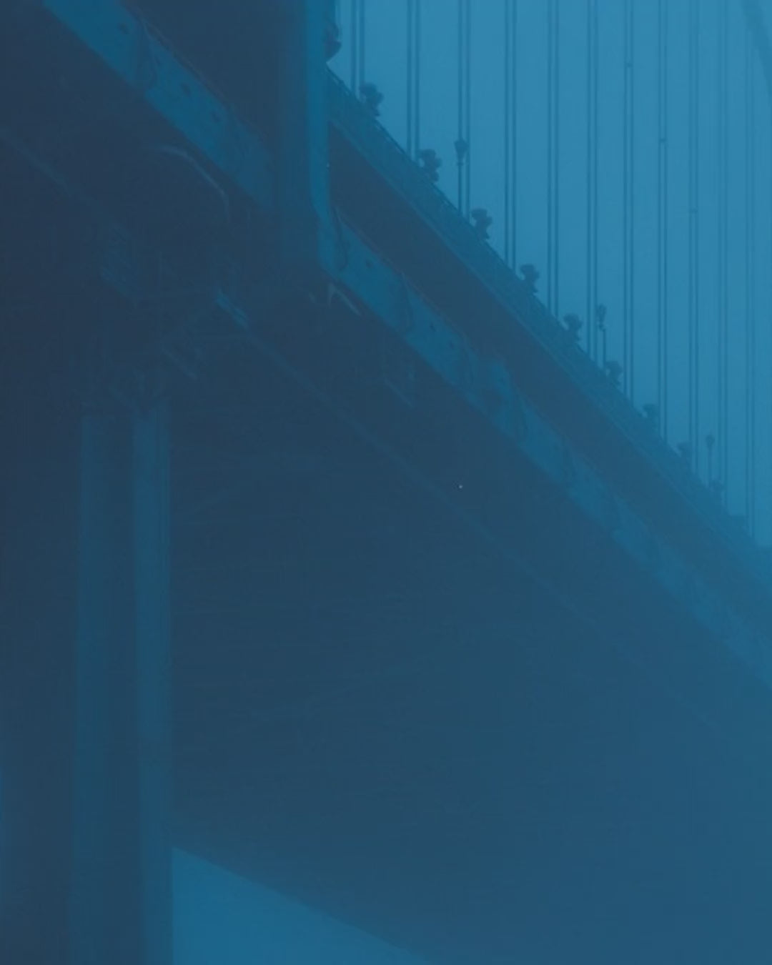 Artwork detail scan video