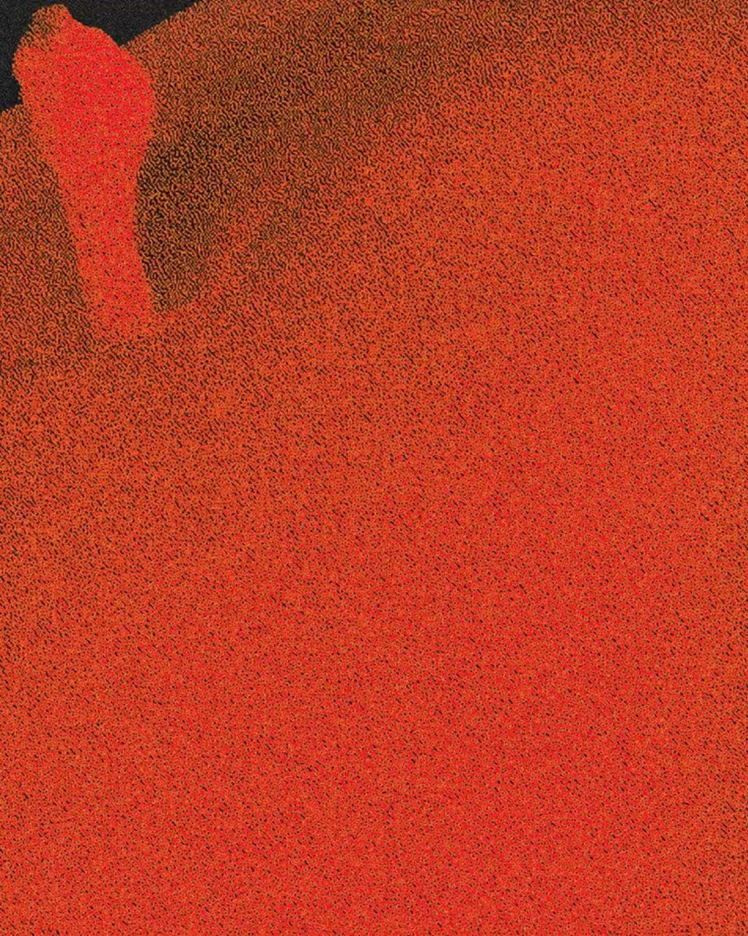 Artwork detail scan video