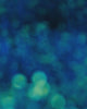 Close-up detail scan of "Field of Dreams III" by Tal Paz-Fridman