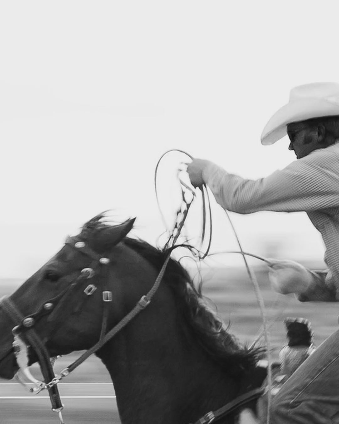 Artwork detail scan video