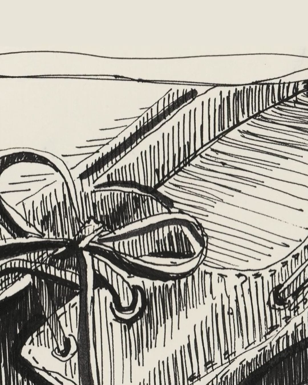 Artwork detail scan video