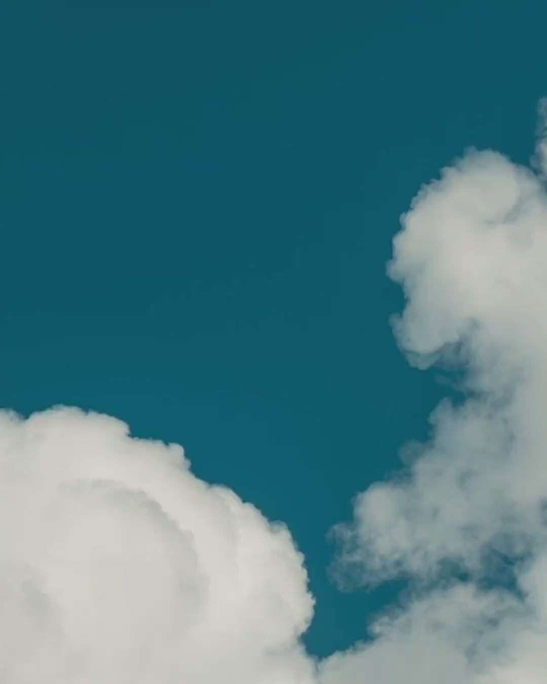 Close-up detail scan of "Heart of Cloud" by Tal Paz-Fridman