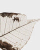 Close-up detail scan of "Fallen Leaves #2" by Tal Paz-Fridman