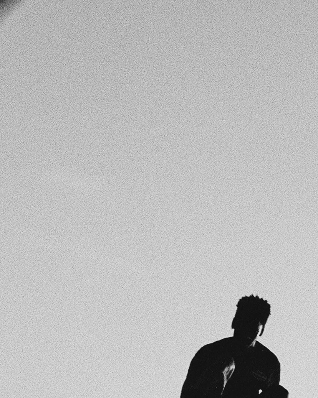 Artwork detail scan video