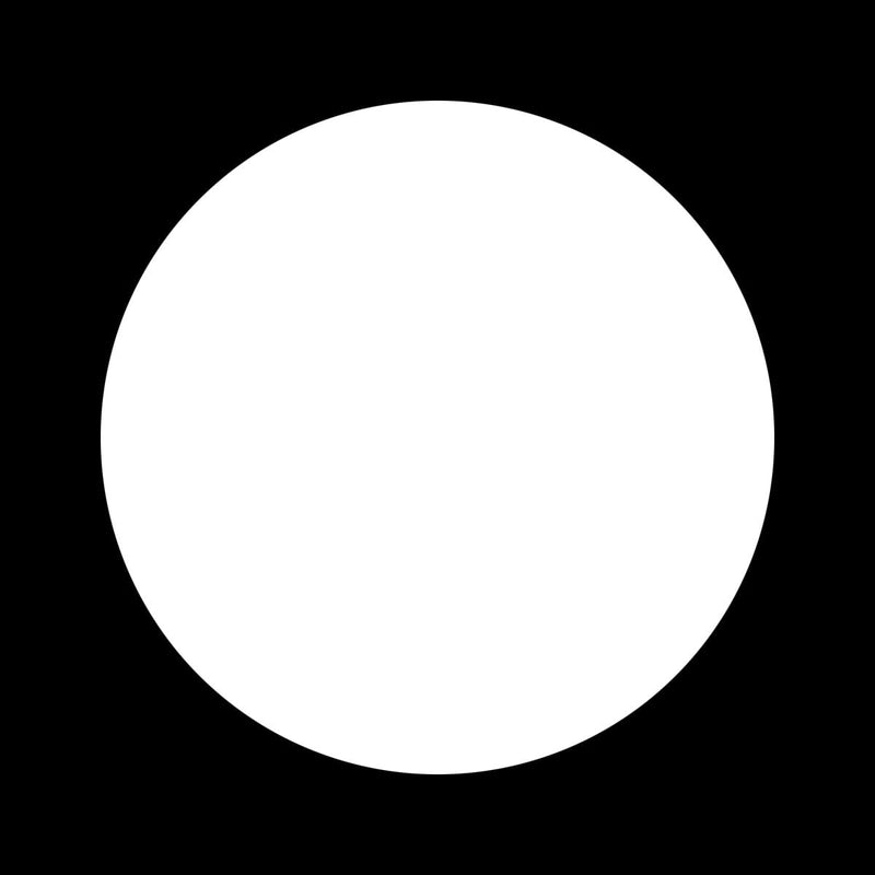 Tal Paz-Fridman